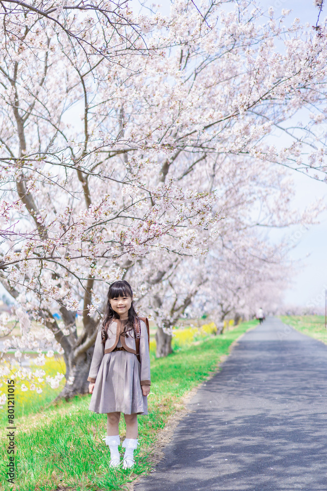 桜の木の下でピースをする女の子 桜の木の下でピースをする女の子