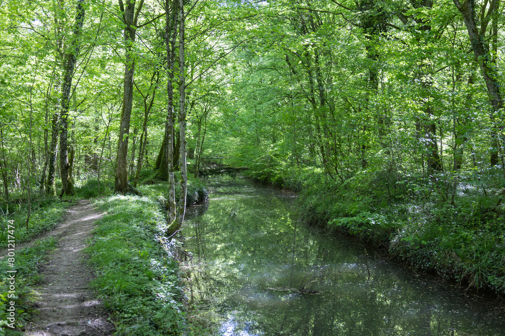 Obraz premium La Sansfond est une petite rivière française coulant dans le département de la Côte-d'Or, en région de Bourgogne-Franche-Comté près de l'abbaye de Cîteaux