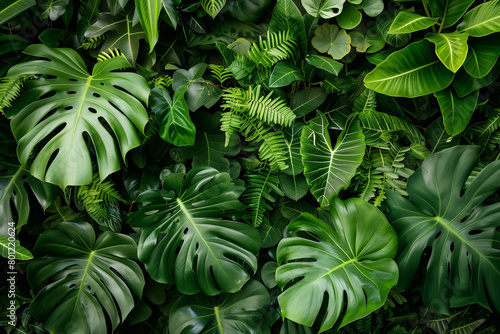 Incorporate lush green plants as part of the backdrop to symbolize the connection between nature and eco-friendly living products.
