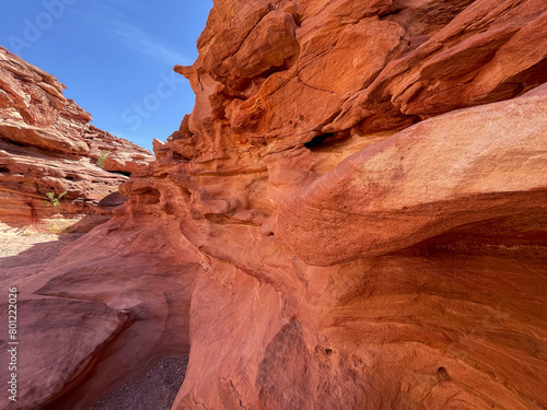 Colored Salam canyon in the Sinai Peninsula, beautiful curved limestone stones. © Paopano