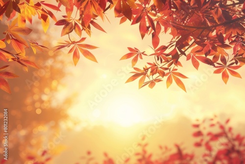 Warm Autumn Leaves and Sunlight Glow