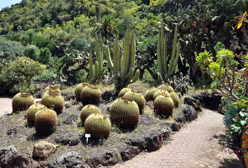 Botanischer Garten Gran Canaria photo