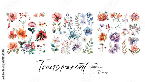 Fototapeta Naklejka Na Ścianę i Meble -  A collection of beautiful and elegant watercolor flowers suitable for wedding invitations and decoration elements