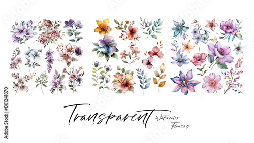 A collection of beautiful and elegant watercolor flowers suitable for wedding invitations and decoration elements © asdir