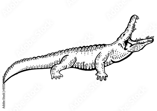 Alligator crocodile sketch engraving PNG illustration. Scratch board style imitation. Black and white hand drawn image.