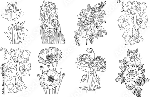 Wallpaper Mural Set of wild flower illustration. Hand drawn botanical line art on isolated background.  Torontodigital.ca
