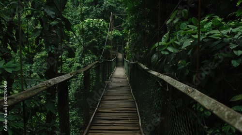 Wooden bridge across the forest with foliage around