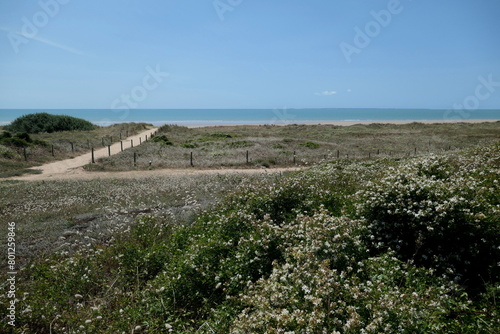 Bois Joly, St. Jean de Monts