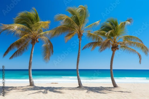 Three palm trees on a beach with white sand and blue water