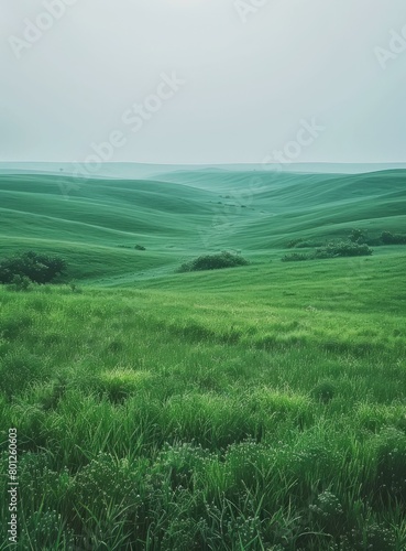 Green rolling hills under a grey sky photo