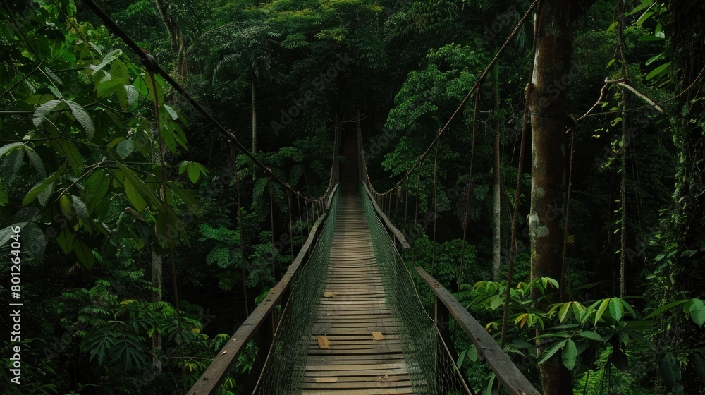 Fototapeta premium Wooden bridge across the forest with foliage around