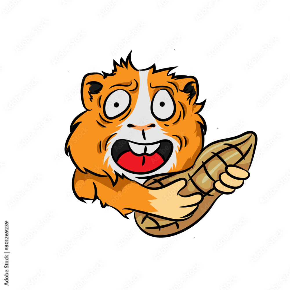 hasmter peanut scared hasmter peanut scared