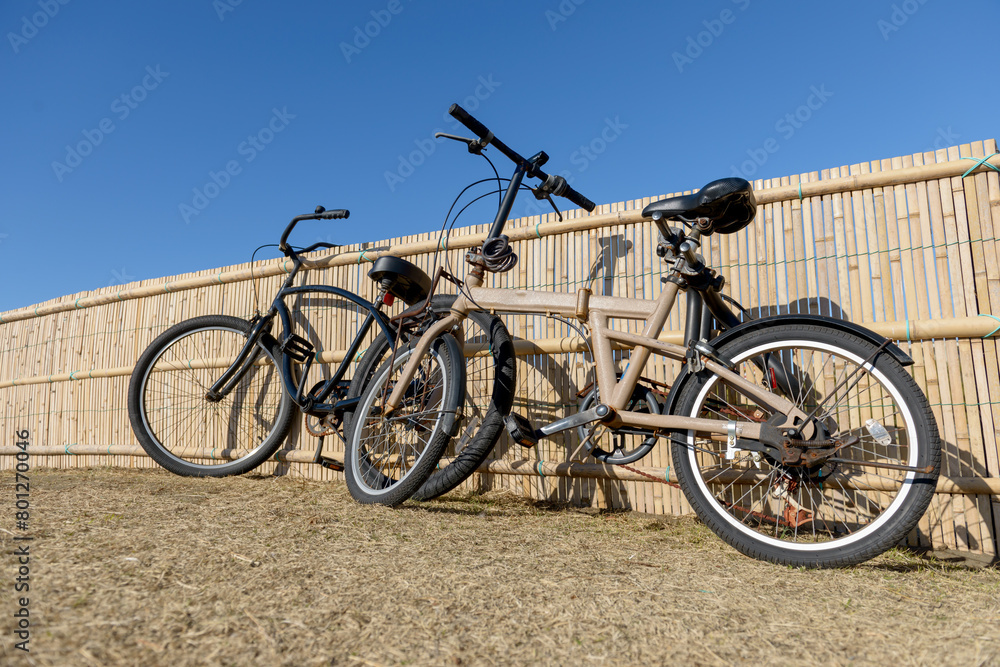 自転車、サイクリング、ポタリング、青空の海岸沿いの公園