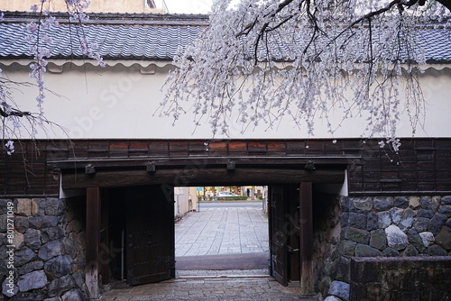 Ogaki-jo Castle with Cherry Blossom in Gifu, Japan - 日本 岐阜県 大垣城 春の桜 photo