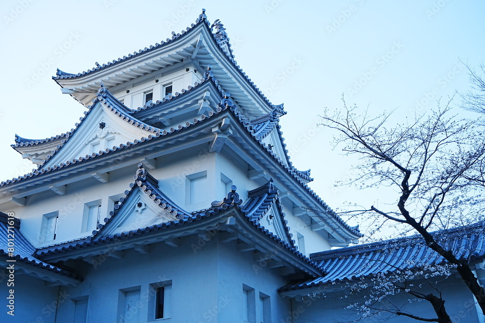 Ogaki-jo Castle with Cherry Blossom in Gifu, Japan - 日本 岐阜県 大垣城 春の桜 Ogaki-jo Castle with Cherry Blossom in Gifu, Japan - 日本 岐阜県 大垣城 春の桜
