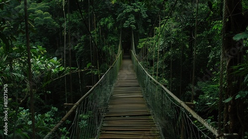 Wooden bridge across the forest with foliage around