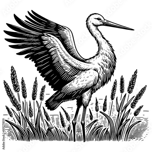 stork bird animal with spread wings in a reedy marshland sketch engraving generative ai PNG illustration. Scratch board imitation. Black and white image. photo