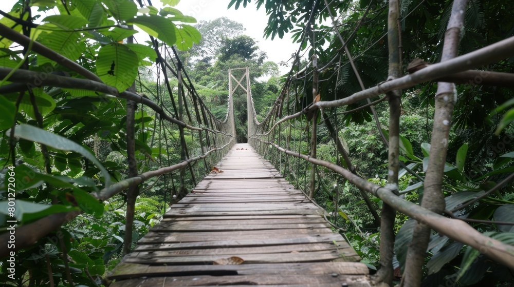 Fototapeta premium Wooden bridge across the forest with foliage around