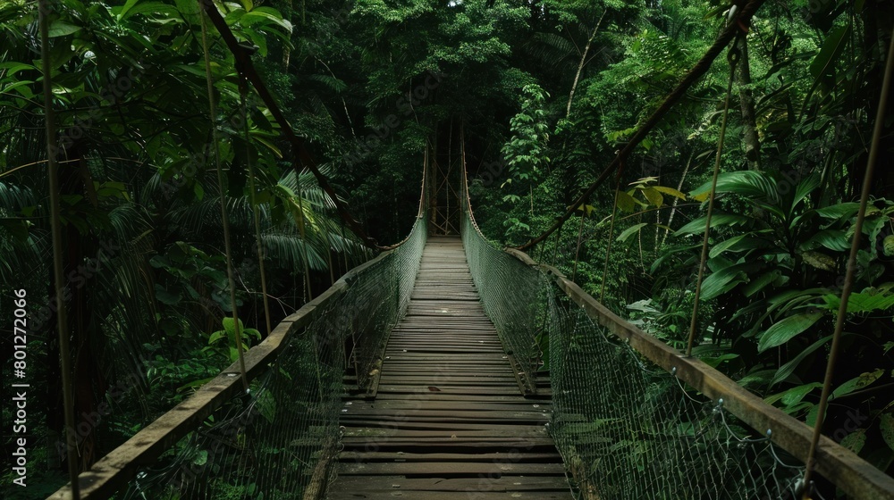 Fototapeta premium Wooden bridge across the forest with foliage around