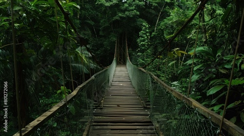 Wooden bridge across the forest with foliage around