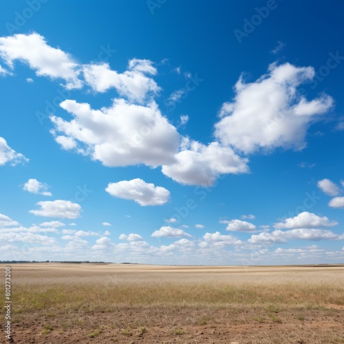 Blue sky and white clouds over a grassy plain