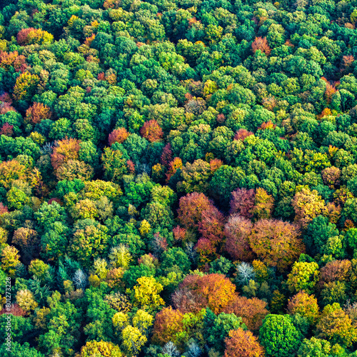 vue aérienne de forêts à l'automne dans les Yvelines en France