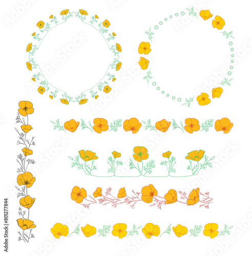 design elements with orange Eschscholzia flowers. California poppy - vector frames and borders