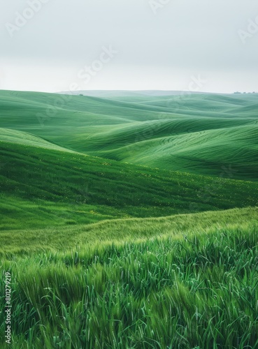 Green rolling hills of Tuscany, Italy © duyina1990
