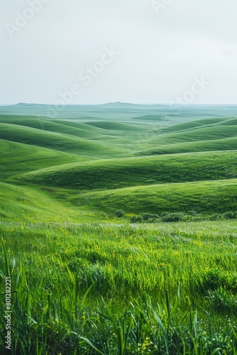 Picturesque green rolling hills under the vast blue sky