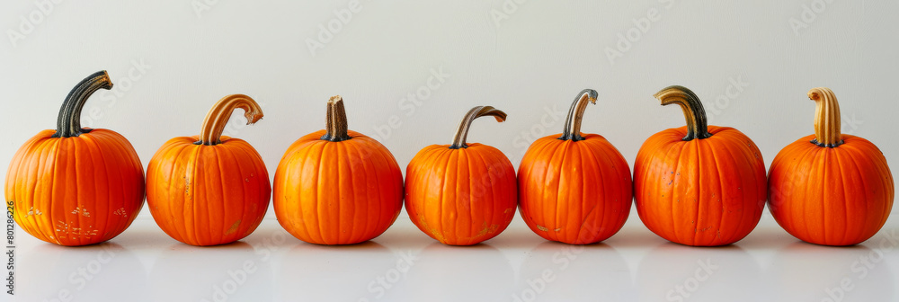 A row of pumpkins with their stems still attached
