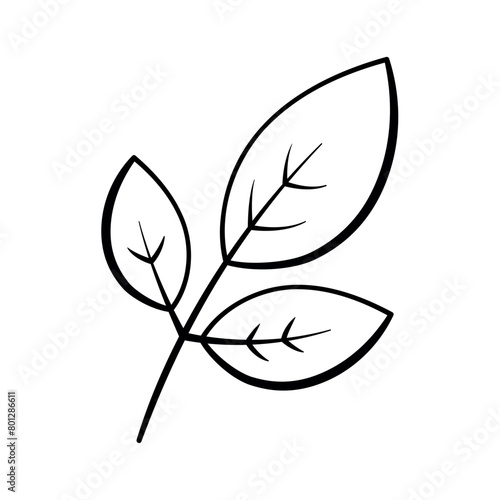 Black Outline Hand Drawn Leaves Plant