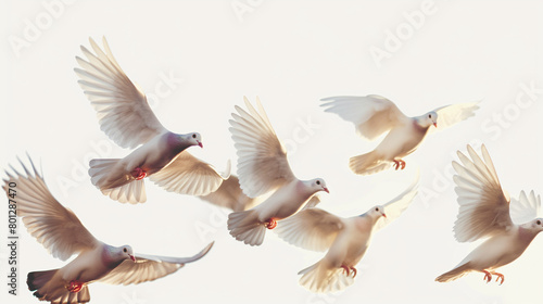 white doves with outstretched wings against a white background. photo