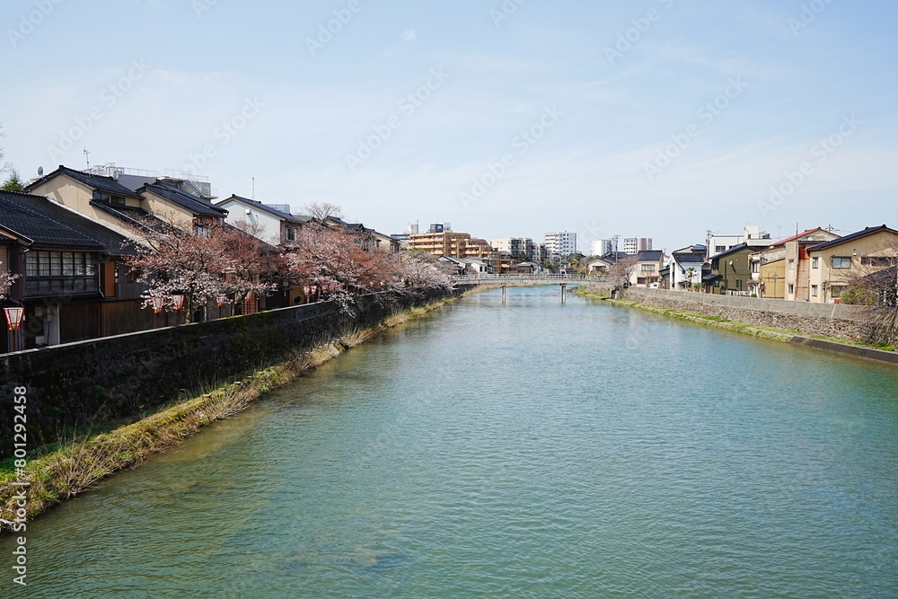 Asano-gawa River in Higashiyama, Kanazawa, Japan - 日本 石川県 金沢市 東山 浅野川