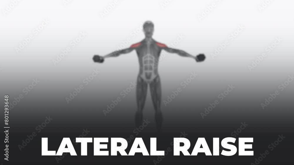 Dumbbell Lateral Raise Dumbbell Lateral Raise