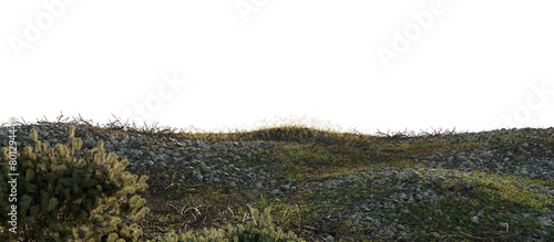 Rocky Terrain with Sparse Grass Growth. 3D rendering.