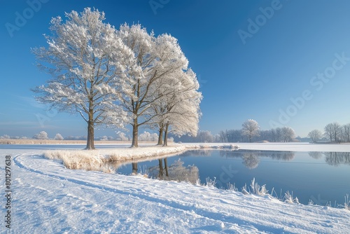 beautiful snow scenery on a sunny day professional photography © NikahGeh
