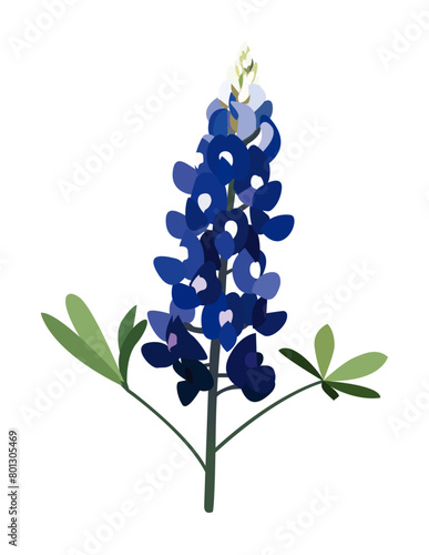 Bluebonnet Vector Art