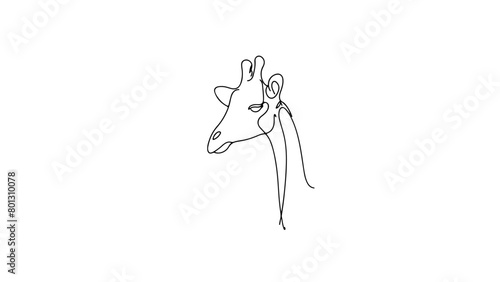 A continuous line drawing of a giraffe head