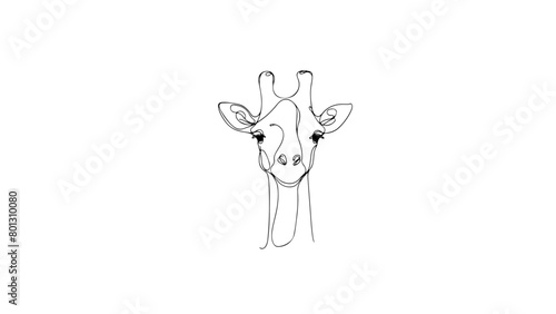 A single line drawing of a giraffe head