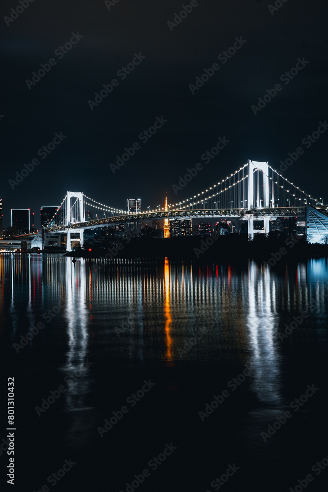 Obraz premium Bridge in Odaiba Marine Park at night, Tokyo