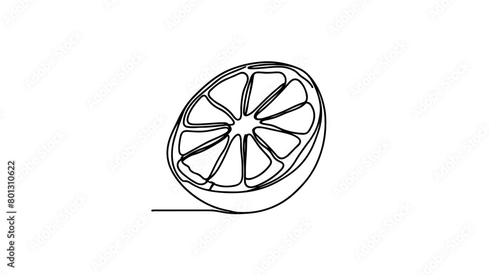 A continuous line drawing of a sliced orange (2) A continuous line drawing of a sliced orange (2)