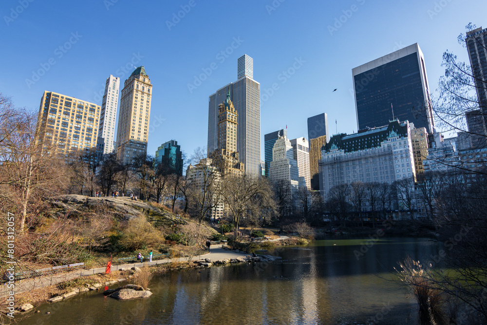 Fototapeta premium Skyline from central park in winter in New York City (USA)