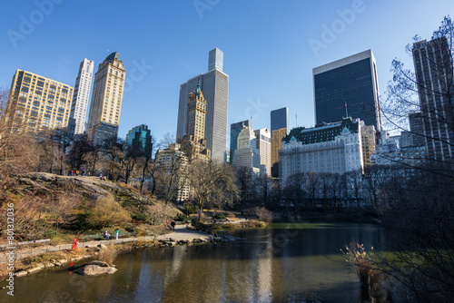 Fototapeta Naklejka Na Ścianę i Meble -  Skyline from central park in winter in New York City (USA)