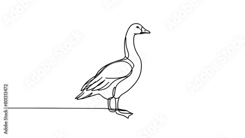continuous line drawing of a goose