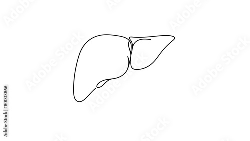 One continuous line drawing of a human liver