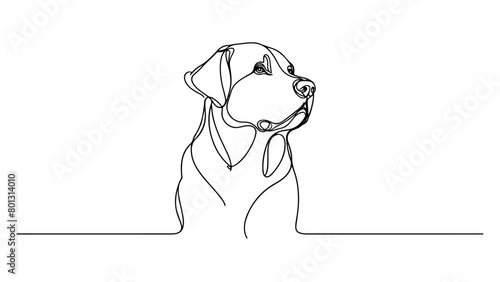 realistic dog portrait depicted in a single continuous line drawing