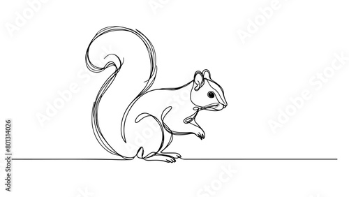 realistic squirrel drawn in a continuous line drawing style