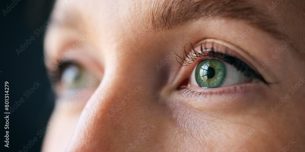 Macro Studio Expression Shot Of Woman's Eyes With Close Up On Eyelashes And Pupil Macro Studio Expression Shot Of Woman's Eyes With Close Up On Eyelashes And Pupil