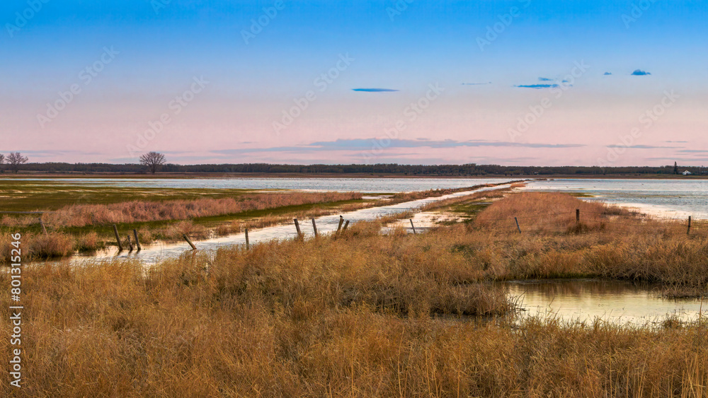 Spring evening at Wapisu Marsh irrigation channel in Saskatchewan