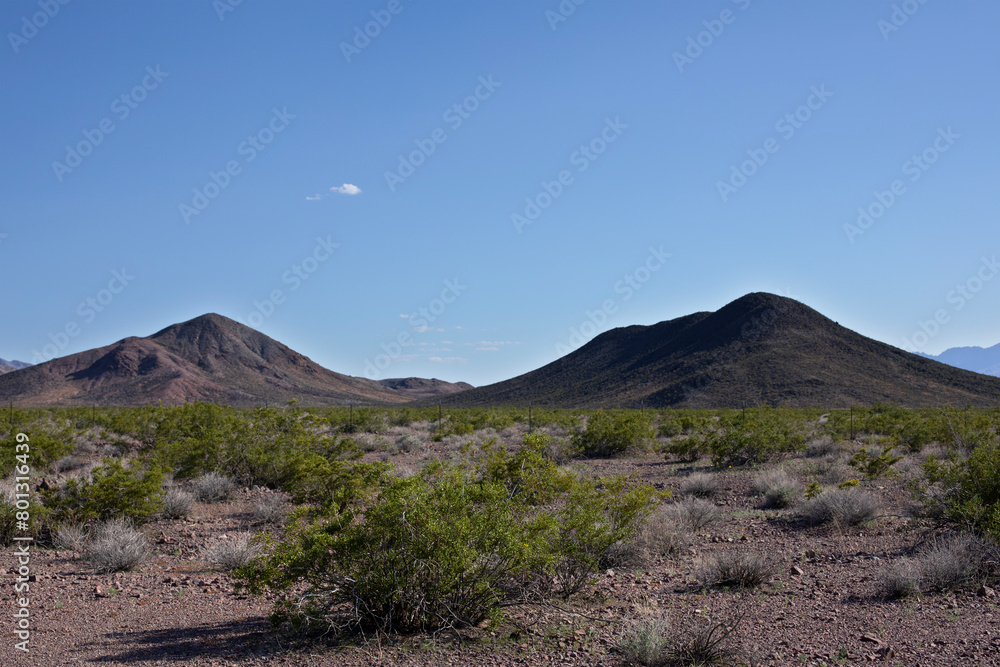USA, Nevada. Désert aride et caillouteux avec de rares buissons secs sous un ciel bleu à l'unique nuage au-dessus des collines râpées au sud de Las Vegas..